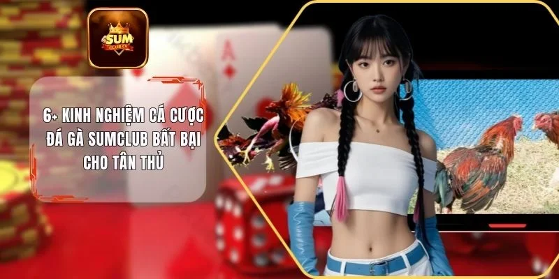 Kinh nghiệm cá cược đá gà SUMCLUB